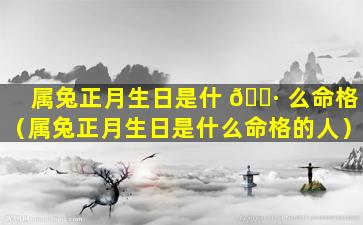 属兔正月生日是什 🕷 么命格（属兔正月生日是什么命格的人）